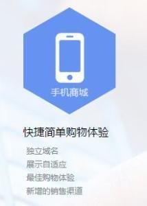 手機(jī)商城軟件的技術(shù)開發(fā)與銷售